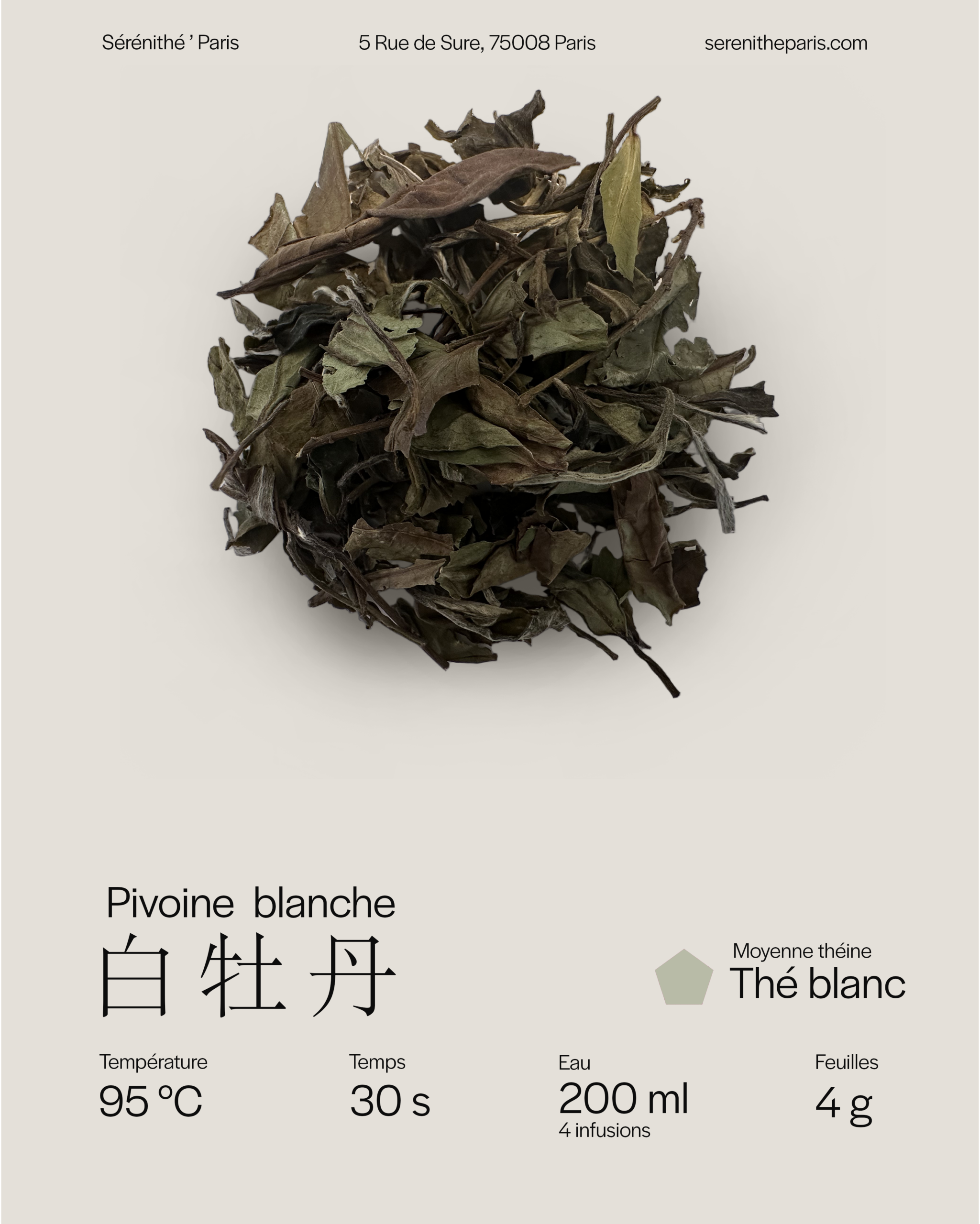 白牡丹/The blanc pivoine blanche
