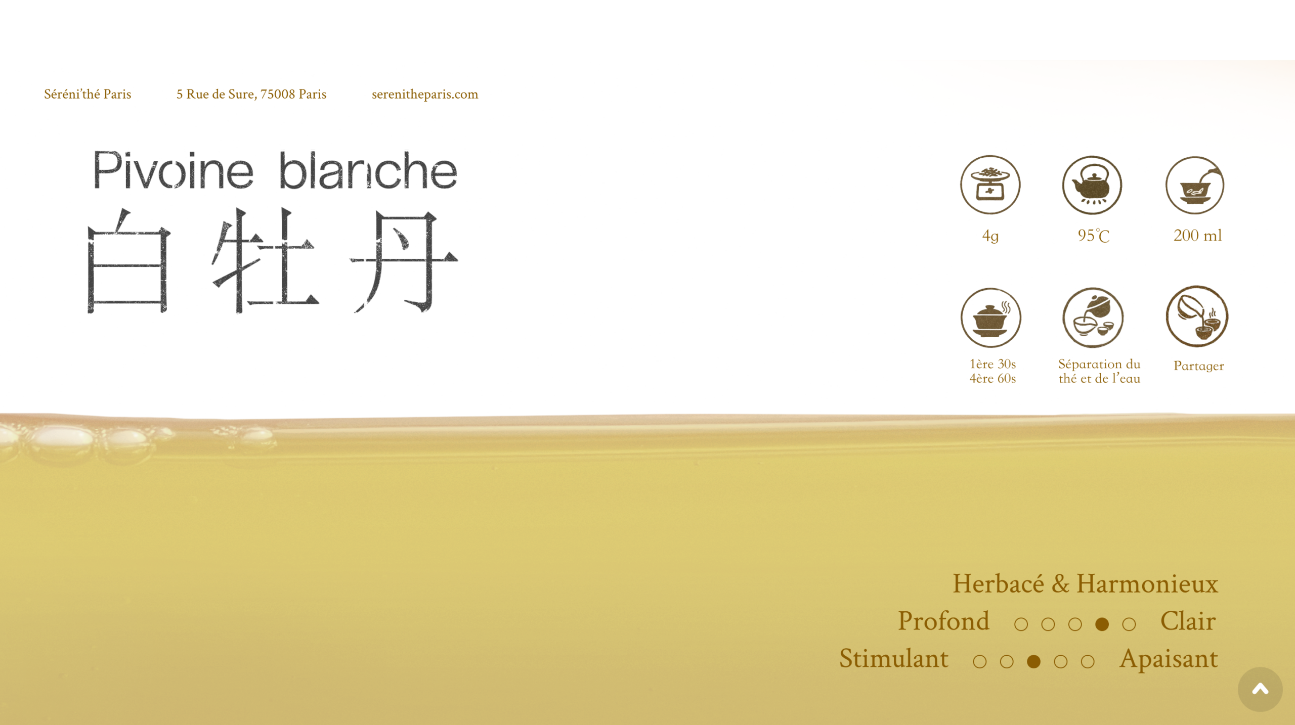 白牡丹/The blanc pivoine blanche